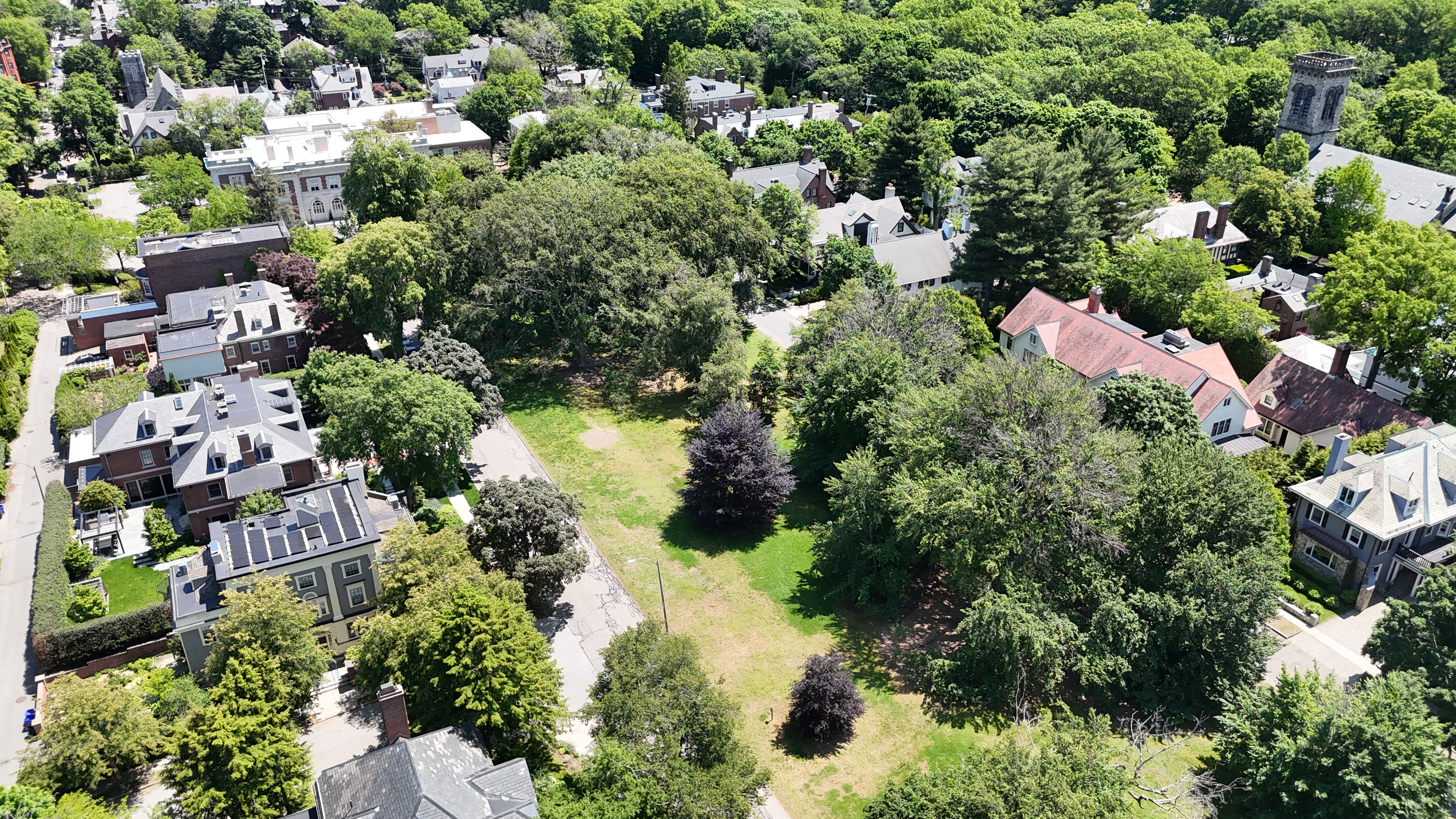 Aerial: DJI 20250603115656 0798 D