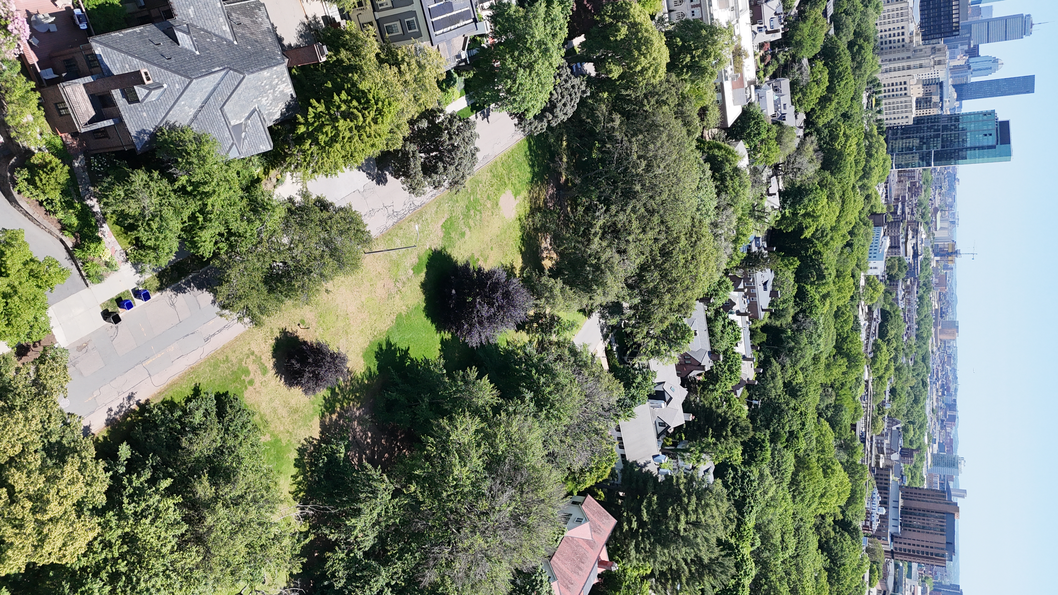 Aerial: DJI 20250603115701 0799 D