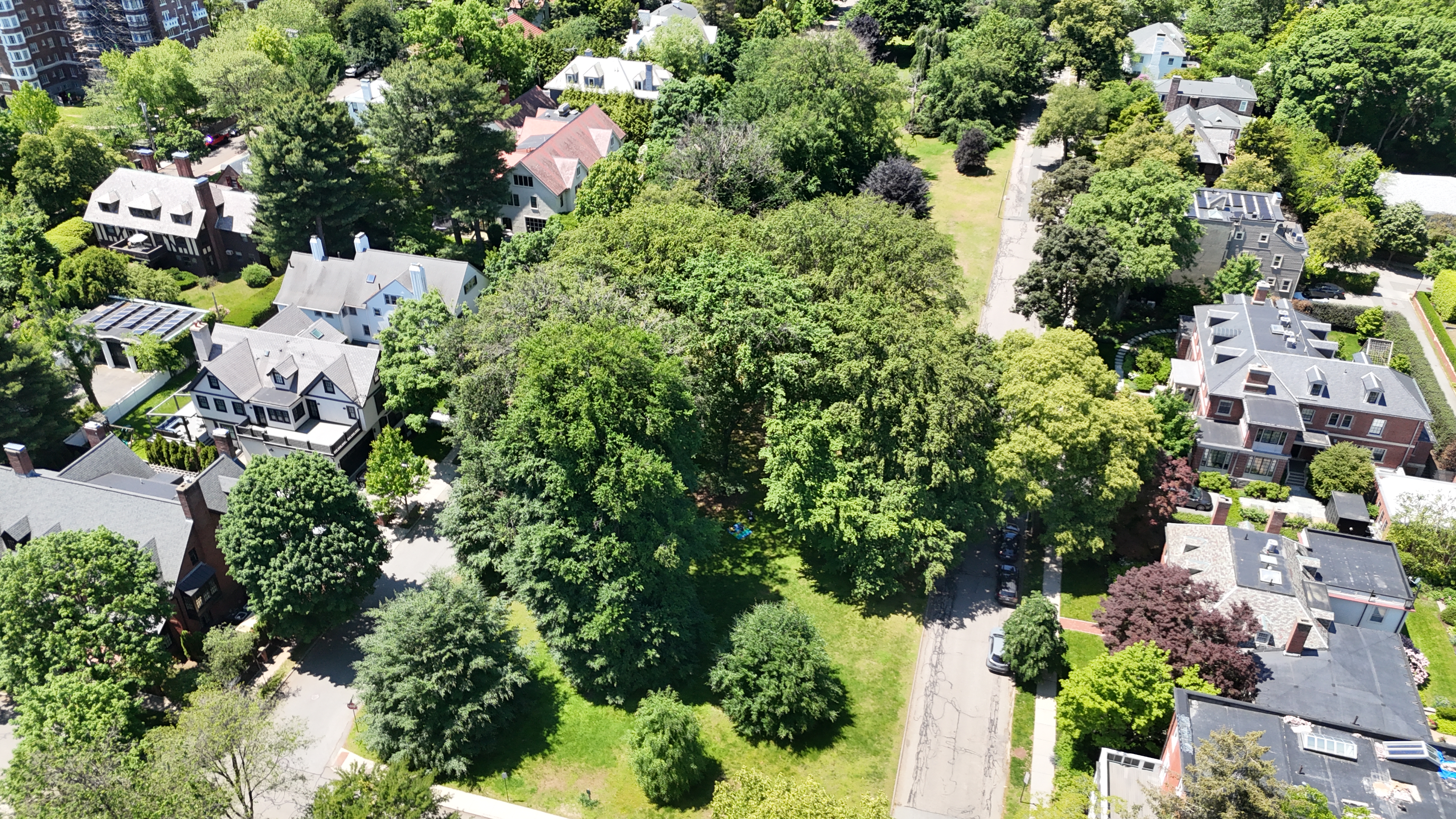 Aerial: DJI 20250603115724 0800 D