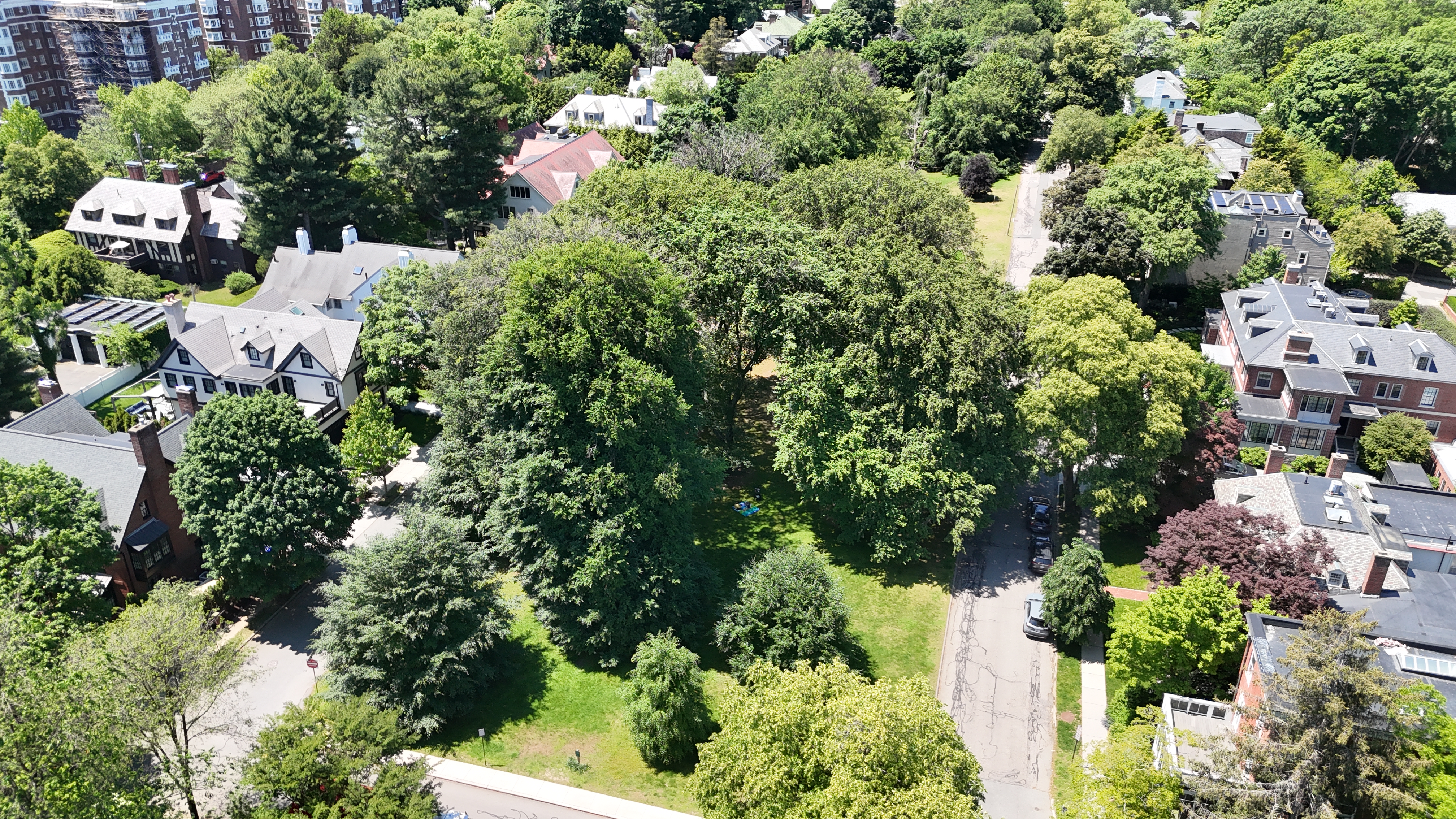Aerial: DJI 20250603115730 0801 D