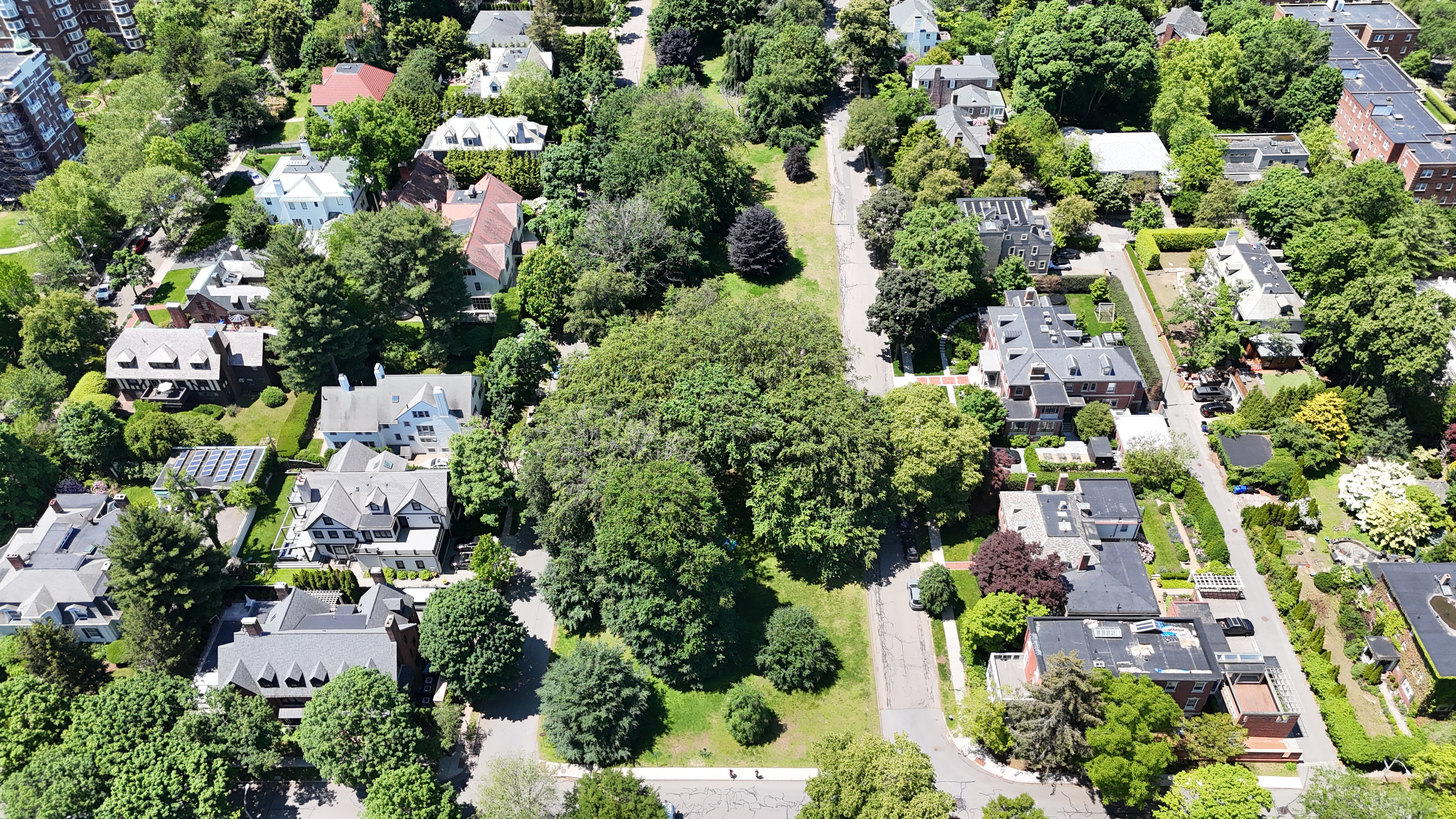 Aerial: DJI 20250603120159 0807 D
