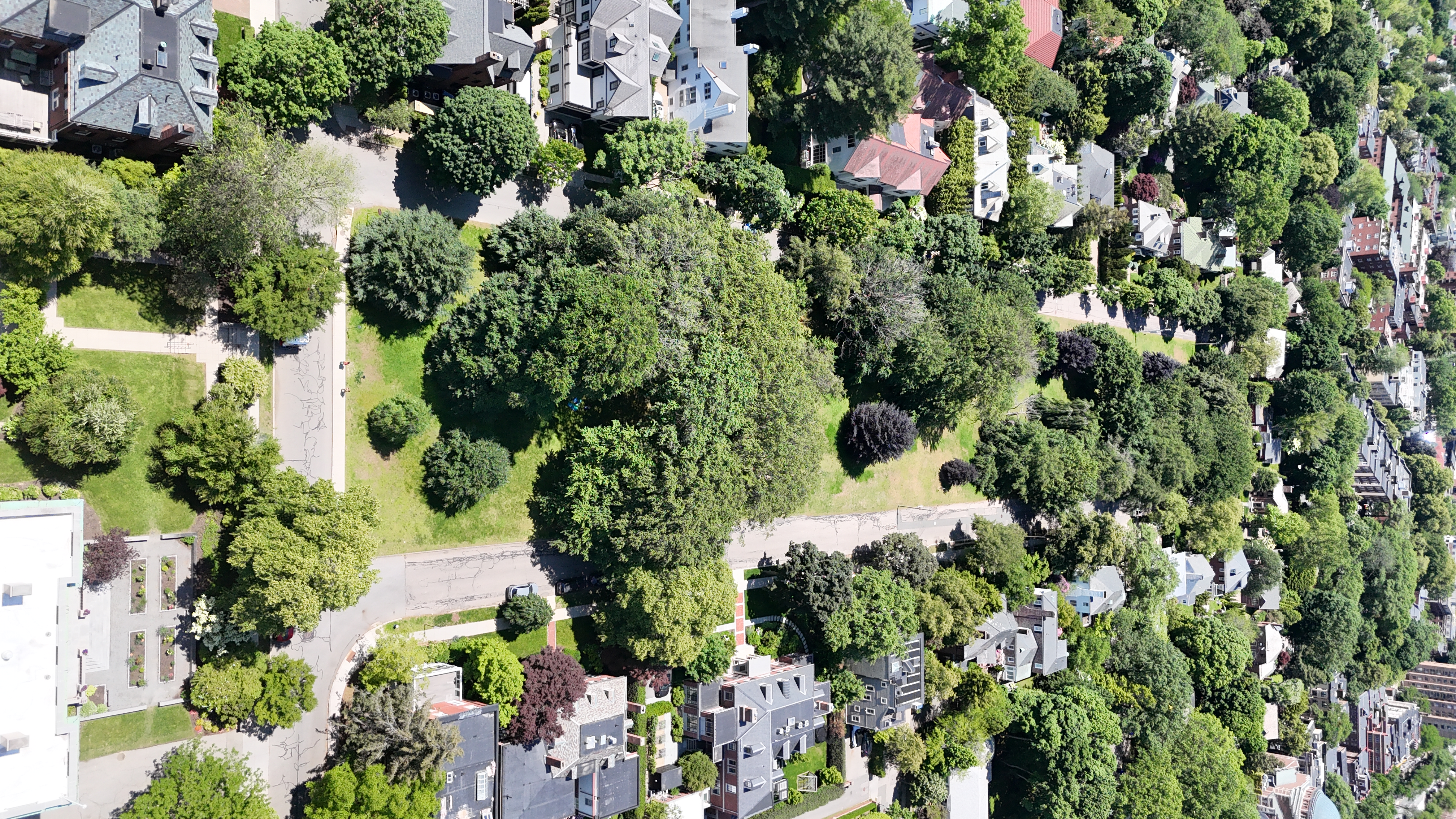 Aerial: DJI 20250603120204 0808 D