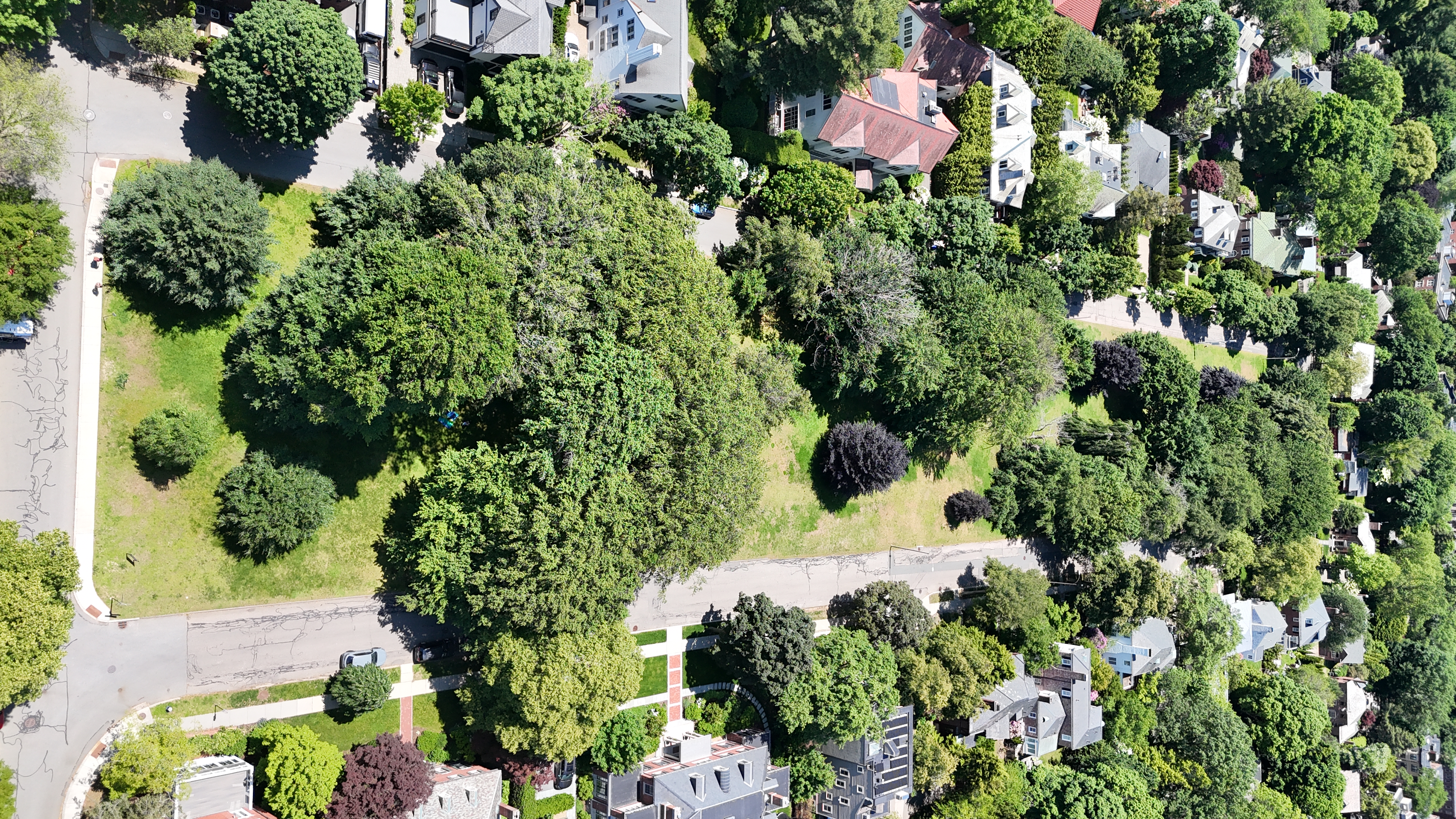 Aerial: DJI 20250603120211 0809 D