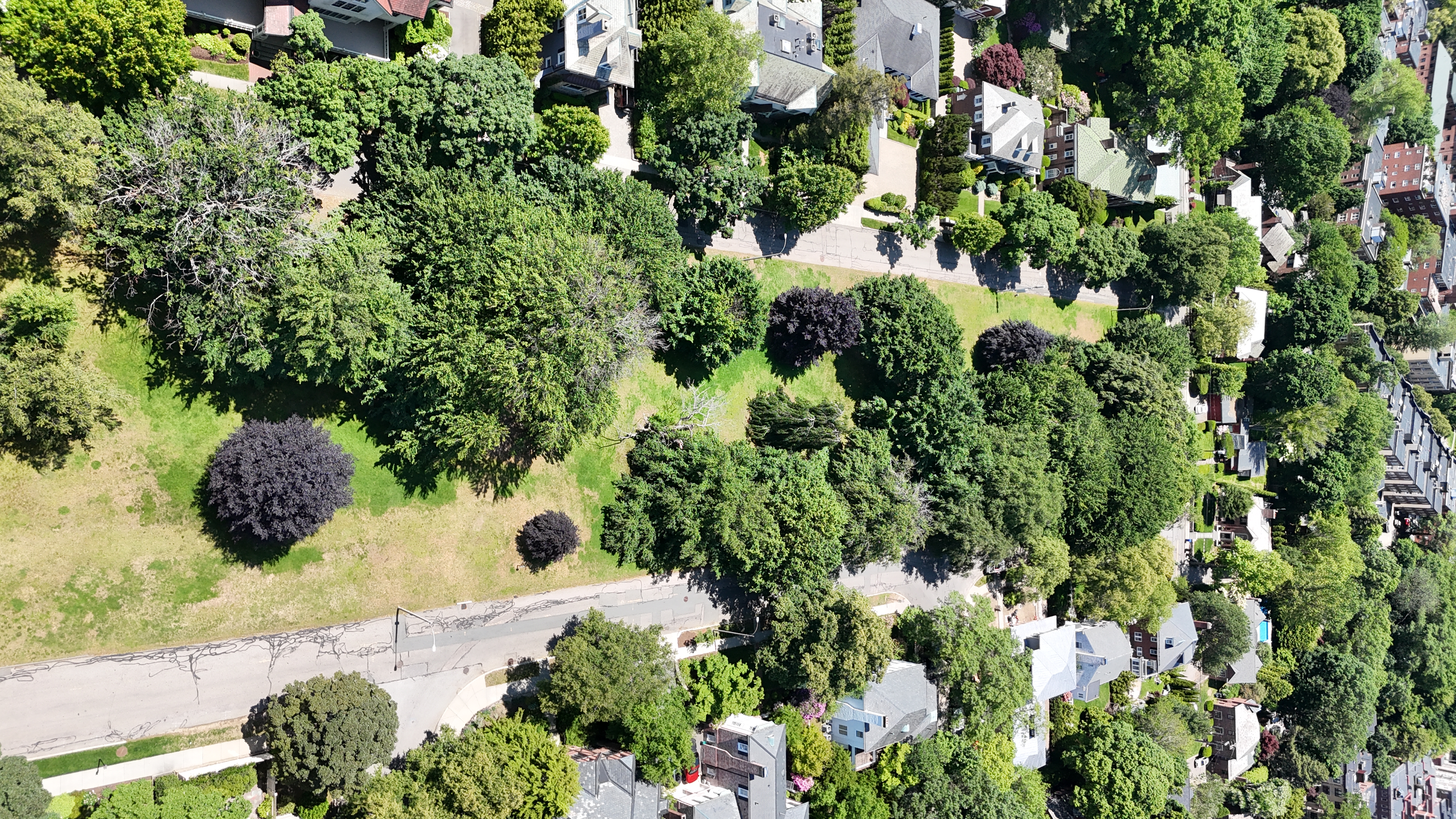 Aerial: DJI 20250603120221 0810 D