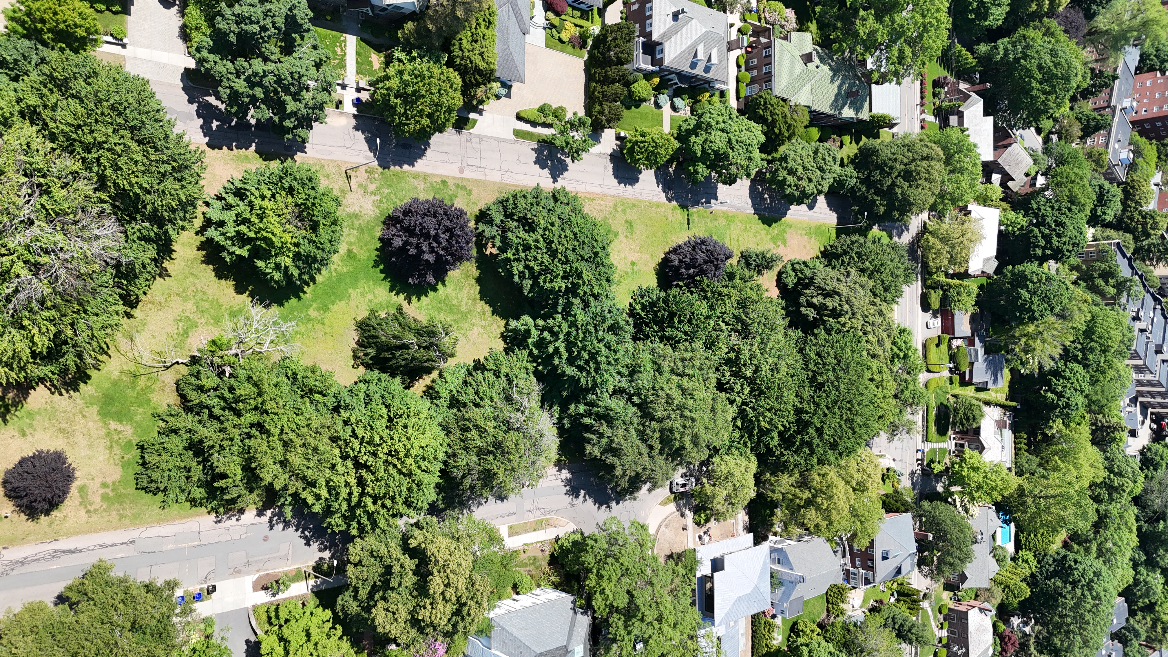 Aerial: DJI 20250603120225 0811 D