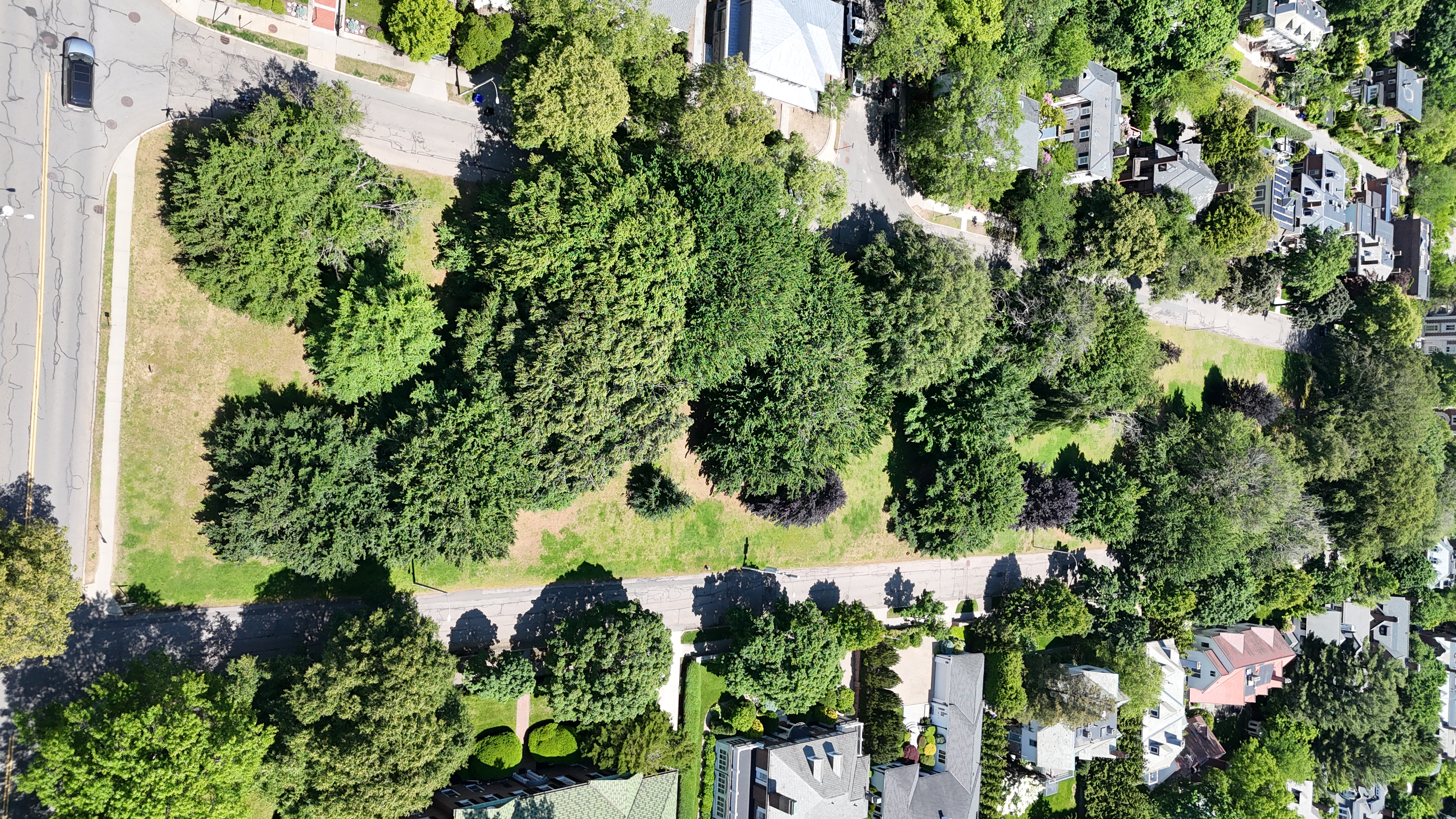 Aerial: DJI 20250603120248 0812 D