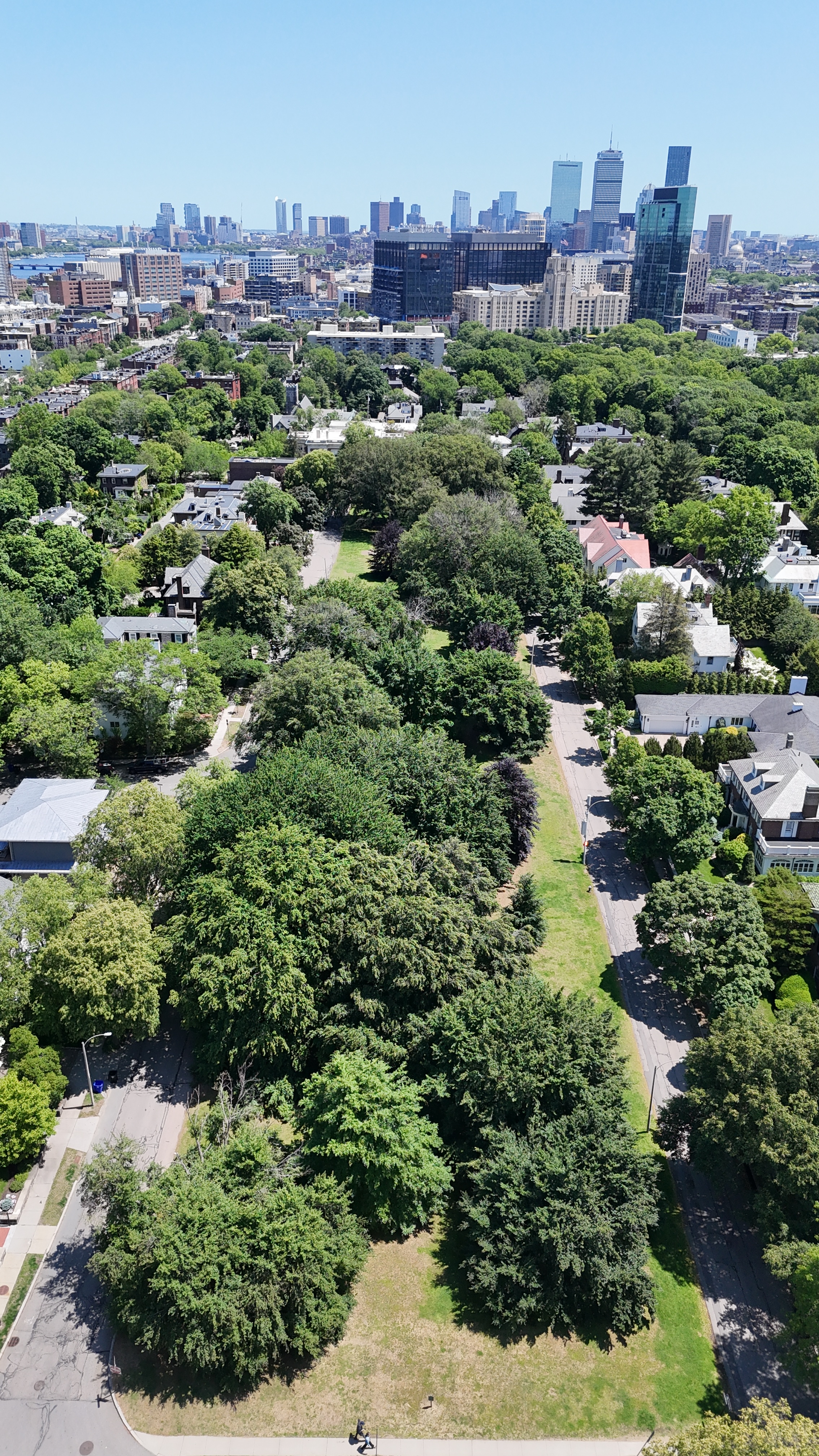 Aerial: DJI 20250603120307 0814 D