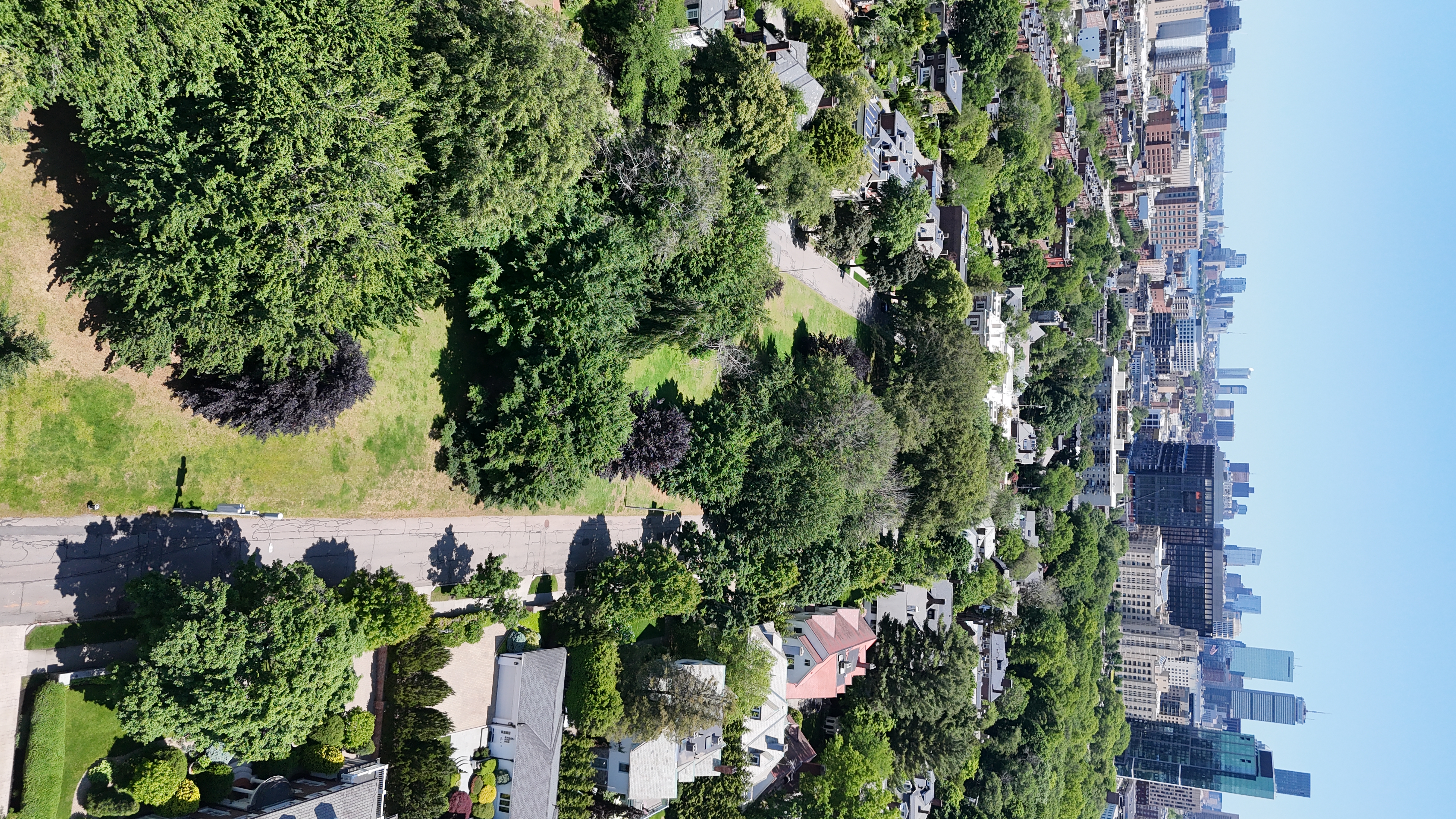 Aerial: DJI 20250603120316 0815 D