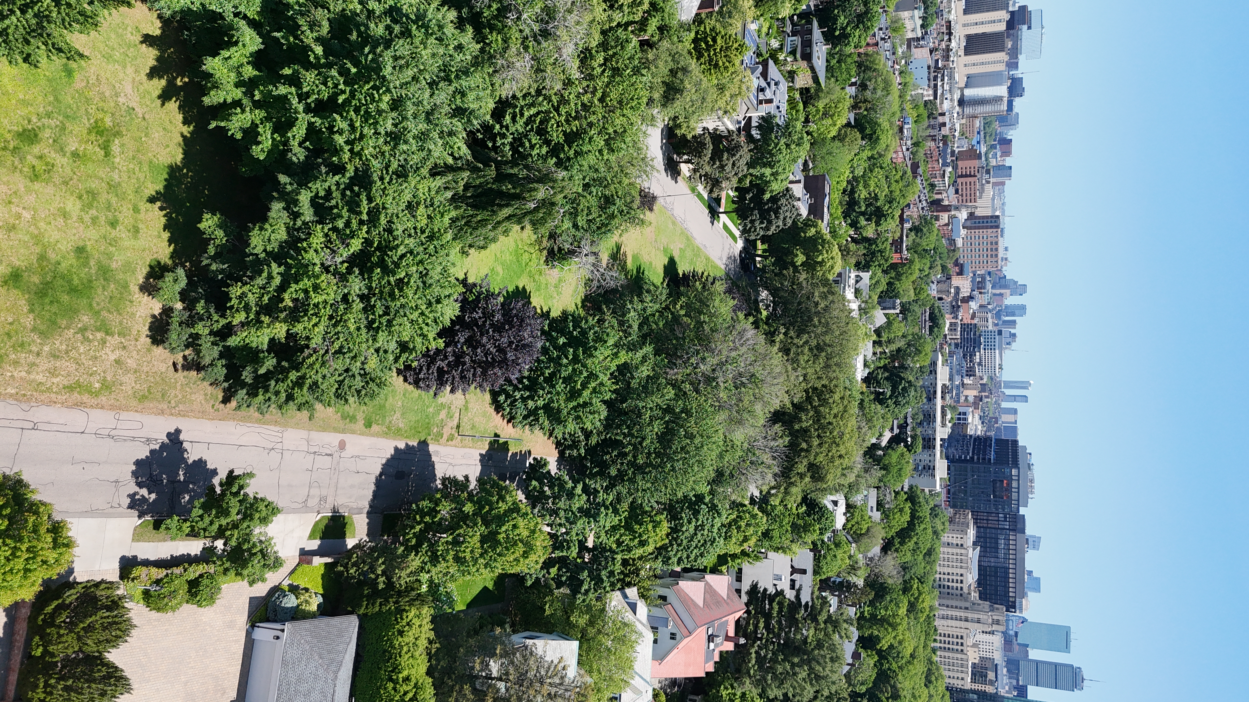 Aerial: DJI 20250603120323 0816 D
