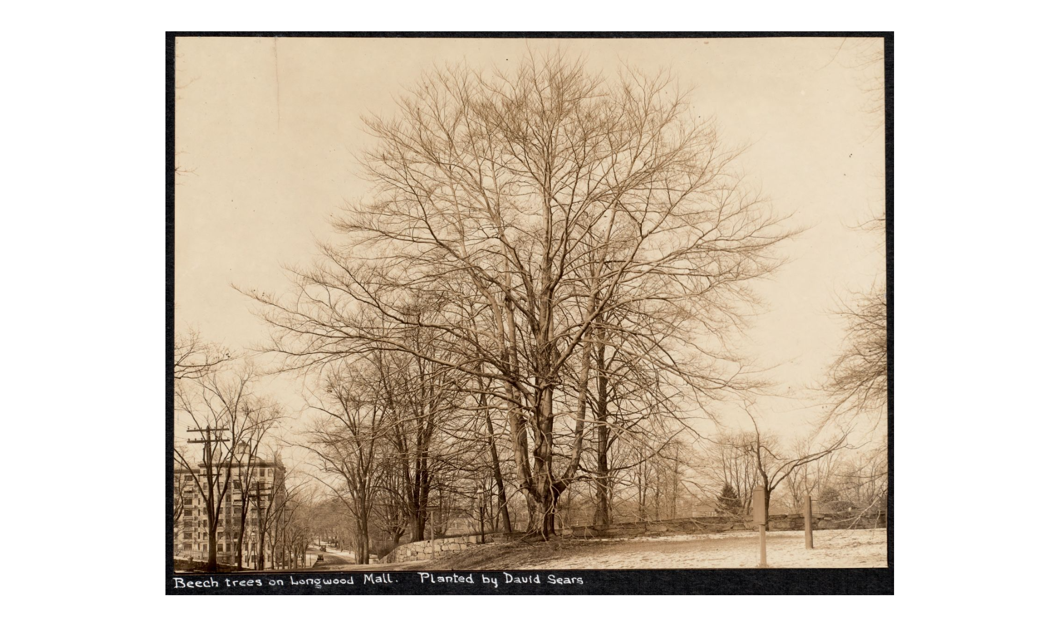 Historical: Old Photo 1
