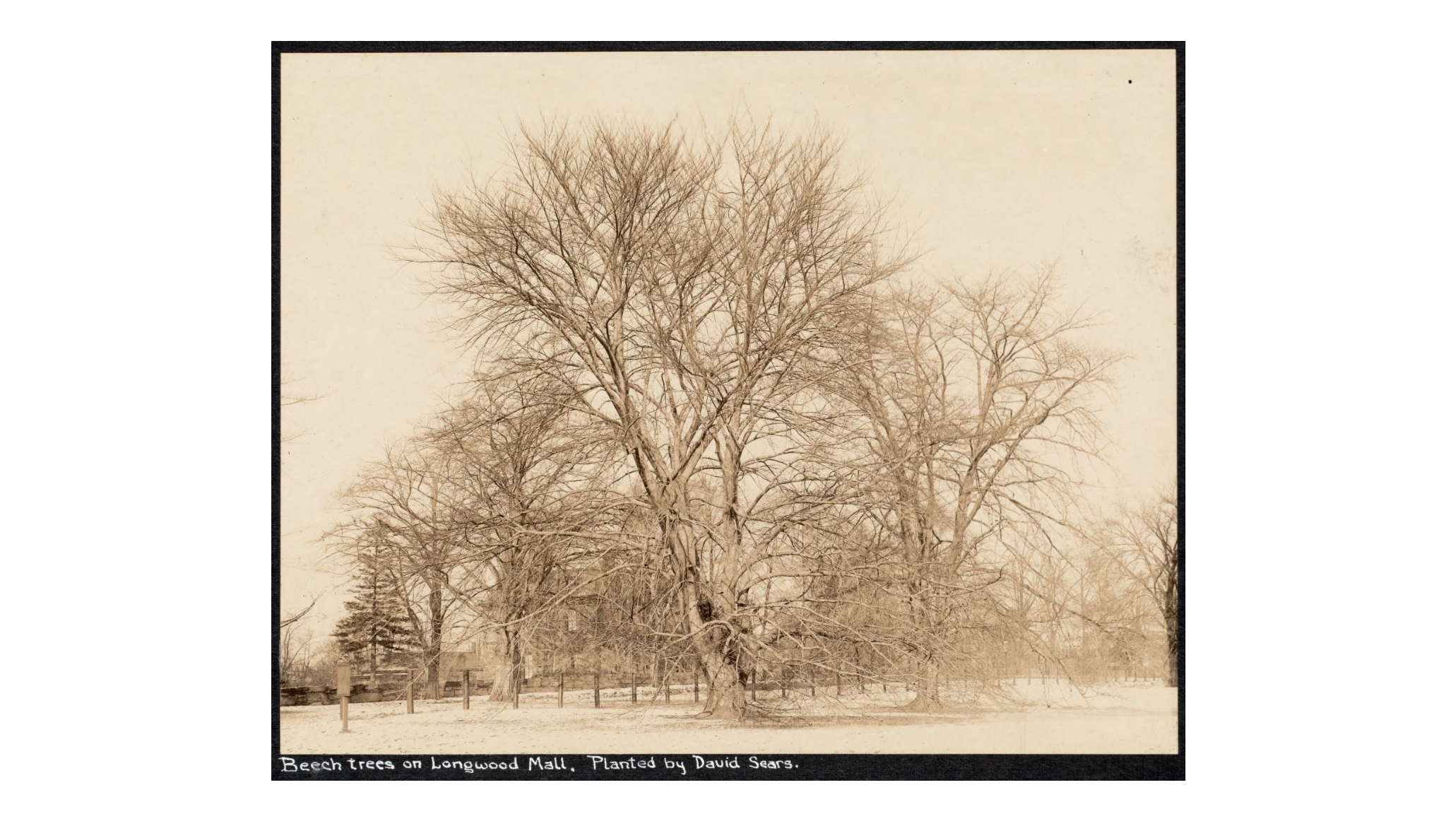 Historical: Old Photo 3