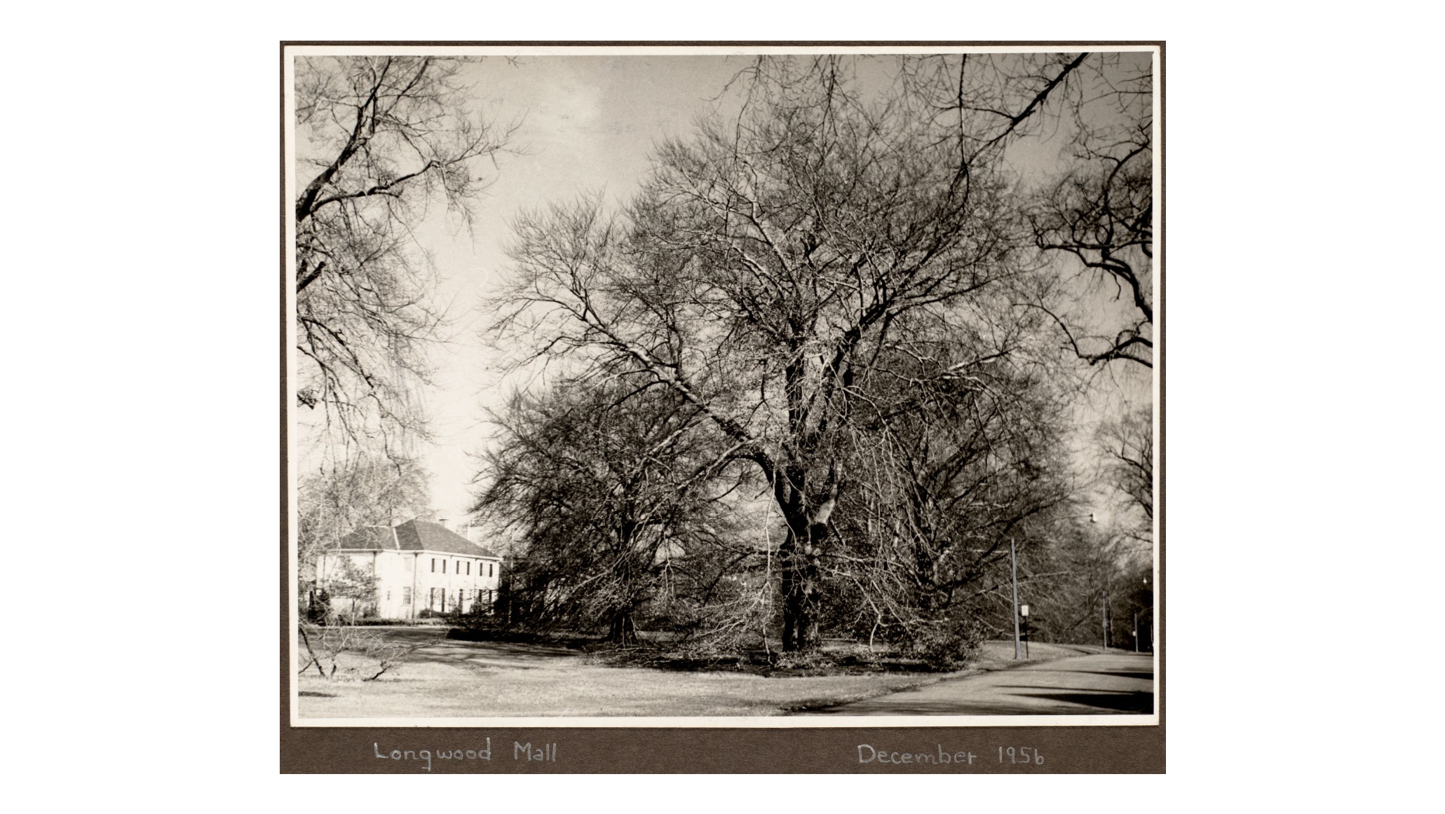 Historical: Old Photo 5