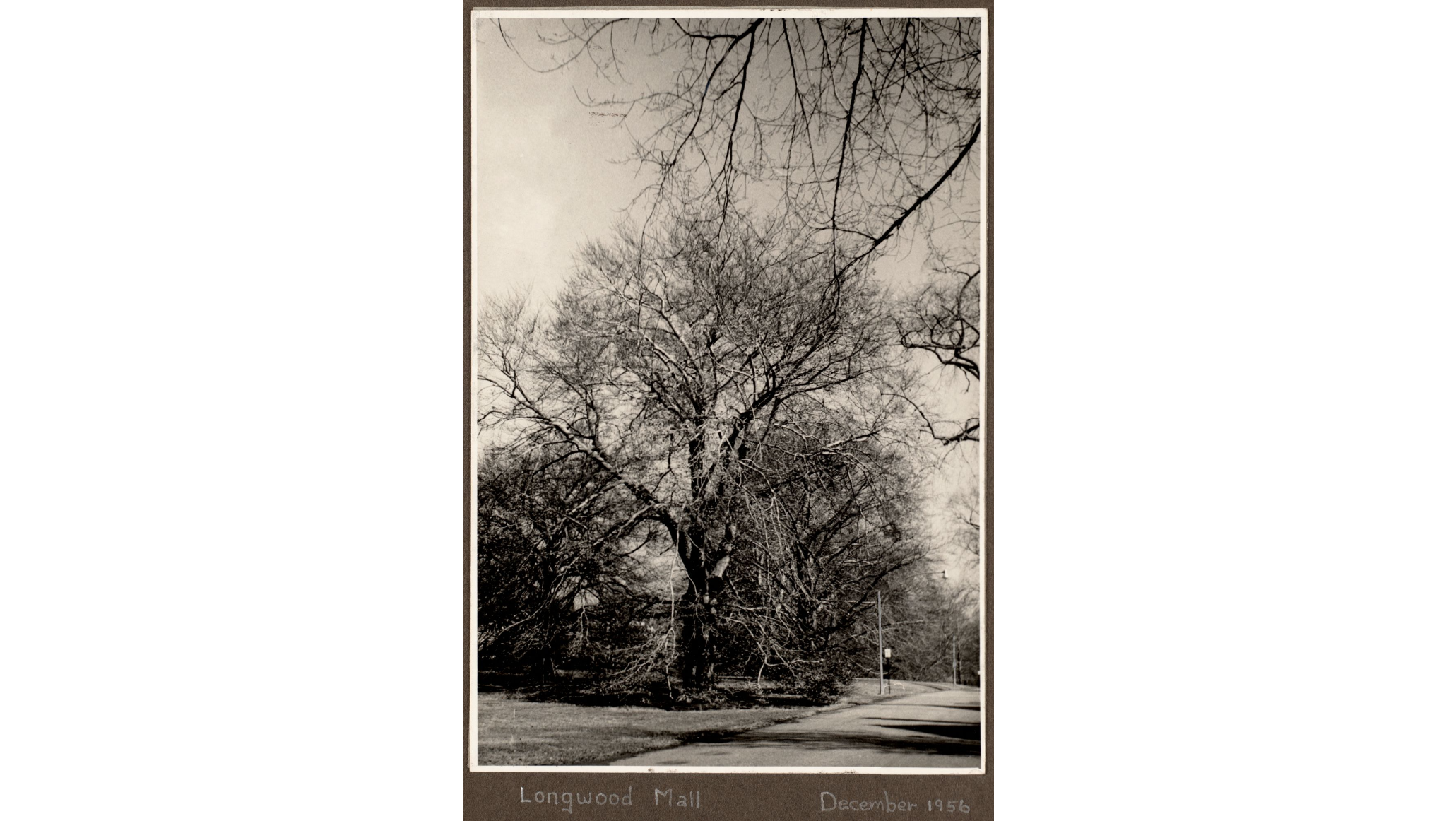 Historical: Old Photo 6