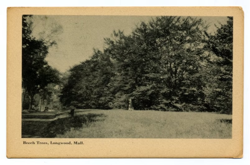 Historical: Old Photo 7